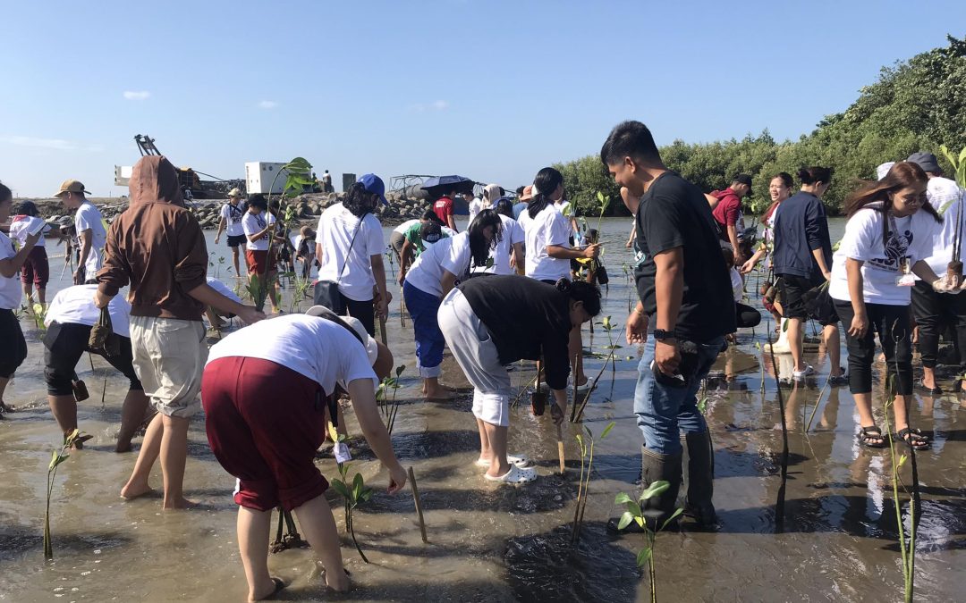 Philwomenians Plant Mangroves for a Greener Future